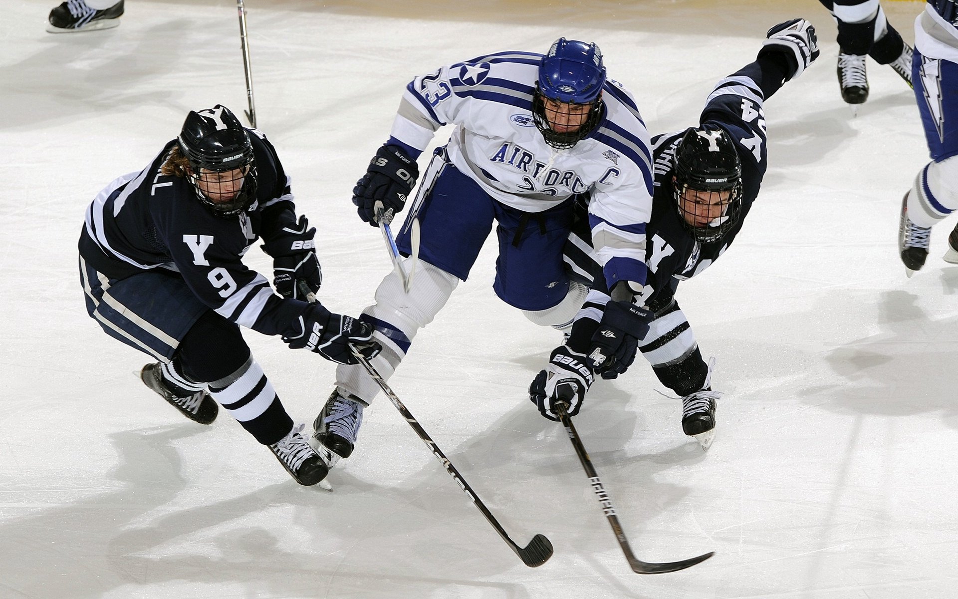 球迷文化塑造赛场灵魂，从助威到公益，看体育迷如何改写赛事影响力